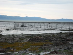 Photo de Maryvonne Berthault - Fish nets