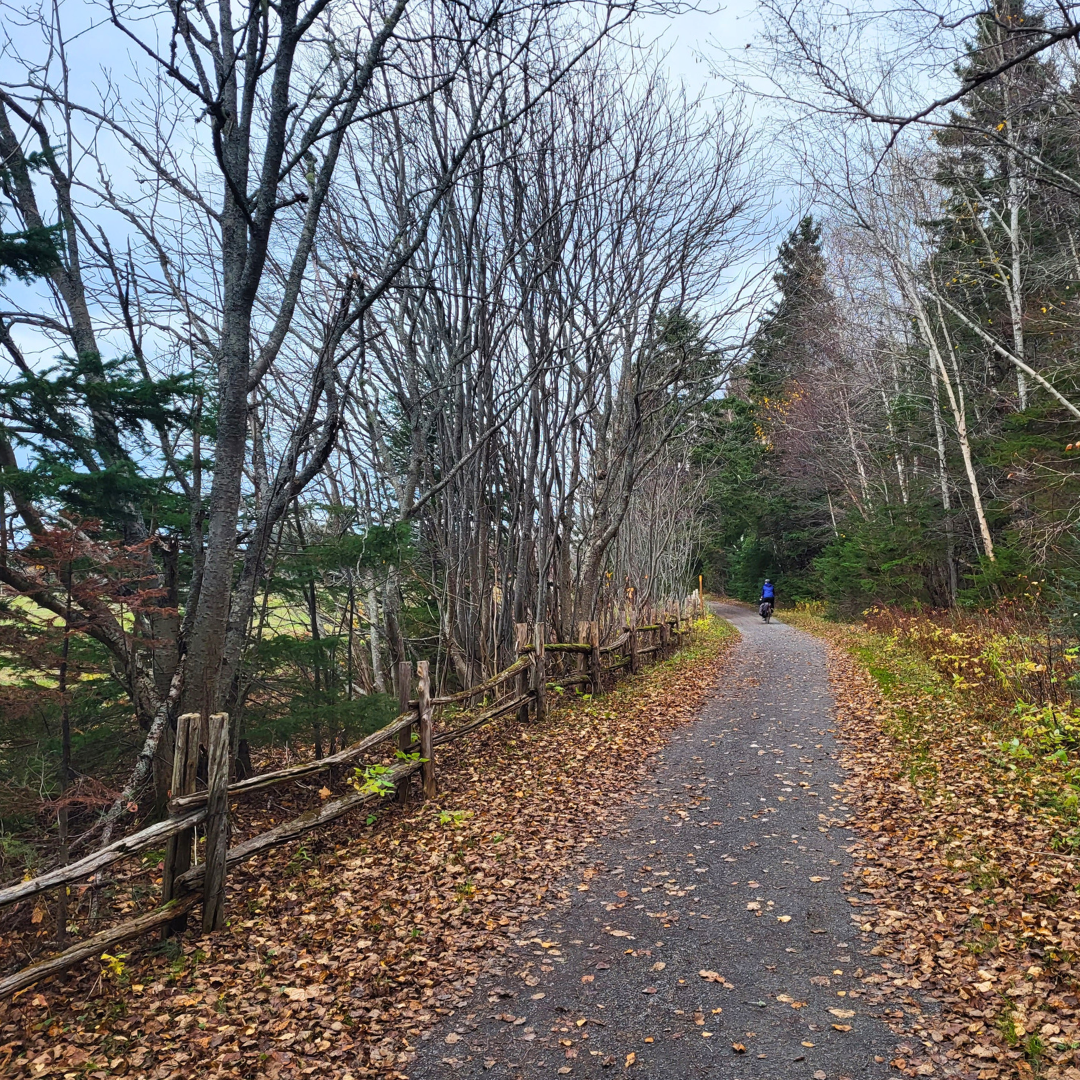 [:en]Why I travel by bike.[:fr]Pourquoi je voyage à vélo.[:]